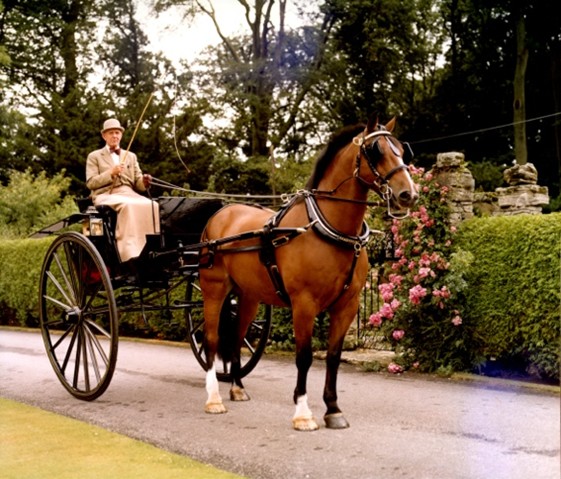 Tom Parker in his horse-drawn gig Tom Parker in his horse-drawn gig
