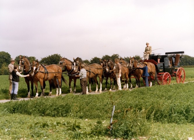 Hitching an 8 horse team to The Rocket, August 1979