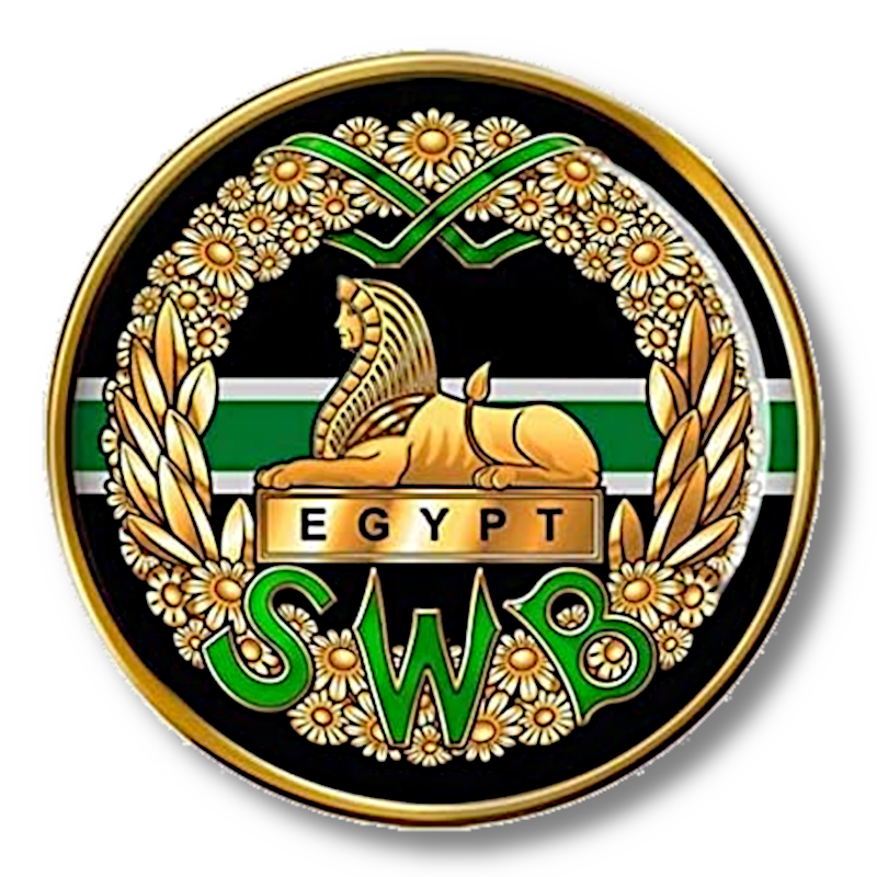 South Wales Borderers Lapel Pin Badge
